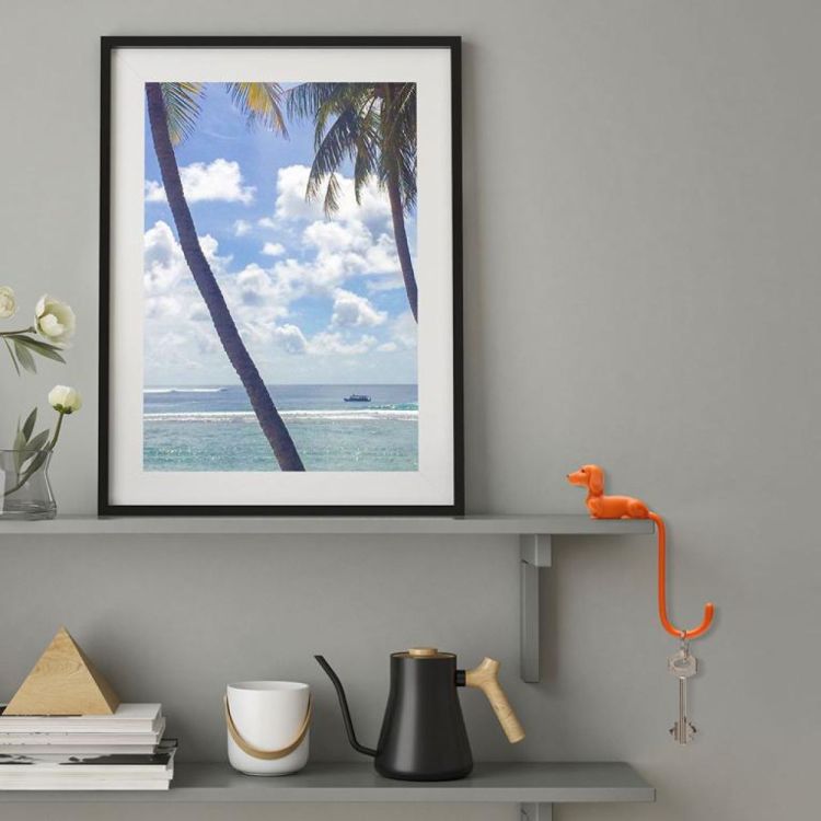 Monkey Business Rusty - schermhaak (Oranje) - Panache (Koksijde)