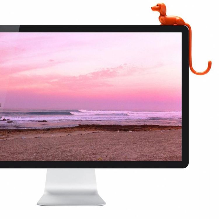 Monkey Business Rusty - schermhaak (Oranje) - Panache (Koksijde)