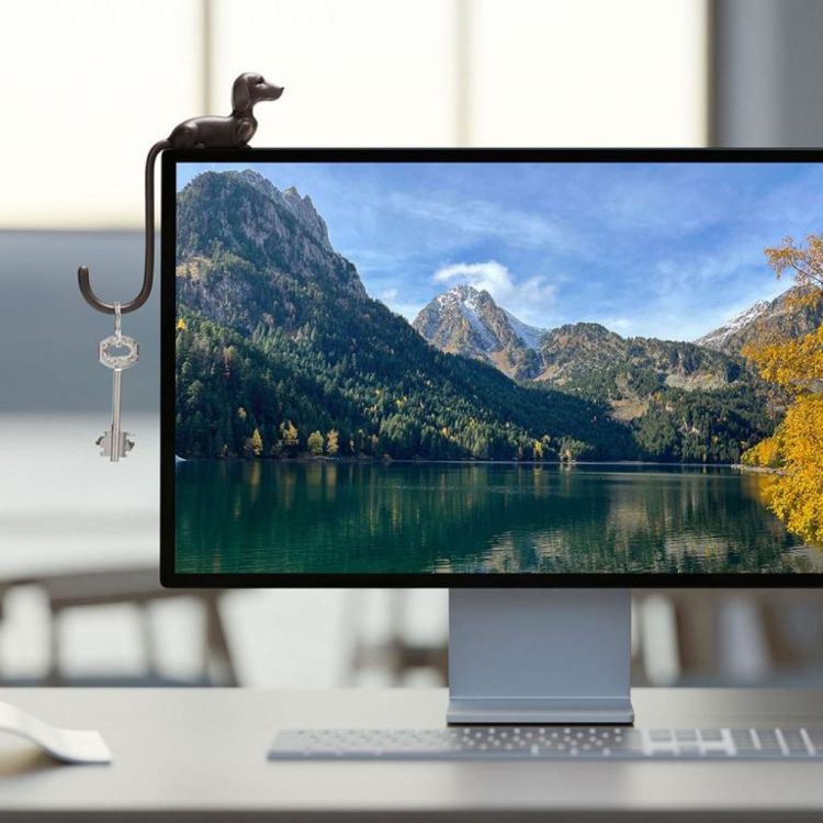 Monkey Business Rusty - Crochet d’écran (Bruin) - Panache (Koksijde)