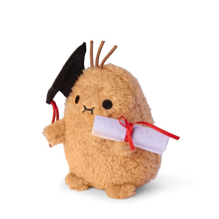 Noodoll Ricespud Graduate (Multi) - Panache (Koksijde)