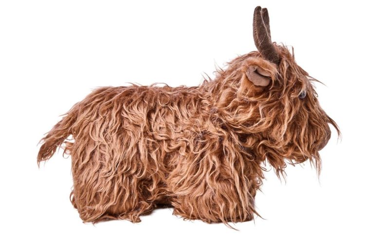 Novità Home Deurstop Schotse hooglander (Brown) - Panache (Koksijde)