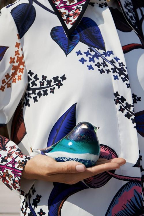 Octaevo Glass Bird Atlas (Black/Green) - Panache (Koksijde)