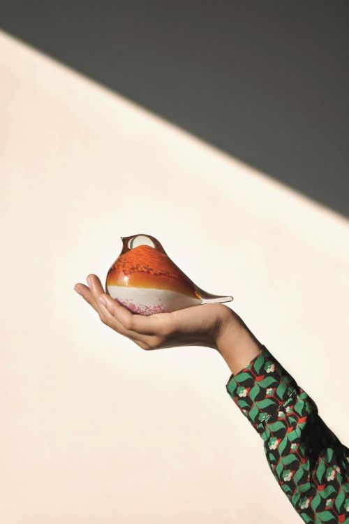 Octaevo Glass Bird Atlas (Orange/Pink) - Panache (Koksijde)