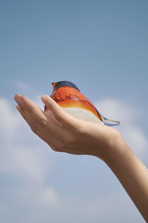 Octaevo Glass Bird Atlas (Orange/Pink) - Panache (Koksijde)