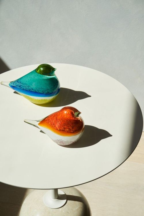 Octaevo Glass Bird Atlas (Orange/Pink) - Panache (Koksijde)