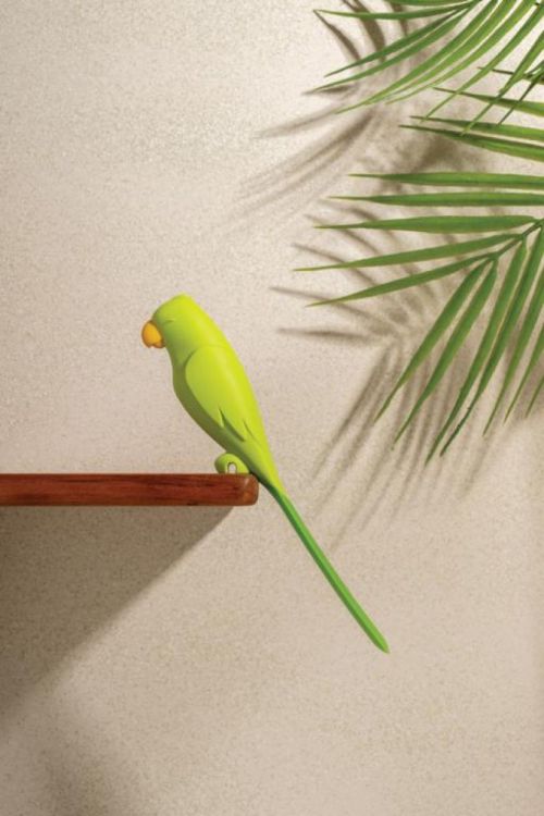 Ototo Design Parry – spatule (Groen) - Panache (Koksijde)