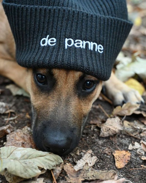 Panache Beanie De Panne (Antraciet) - Panache (Koksijde)