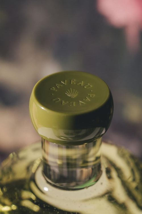 Paveau Glassware Swirl waterfles met draaidop 750ml (Moss) - Panache (Koksijde)