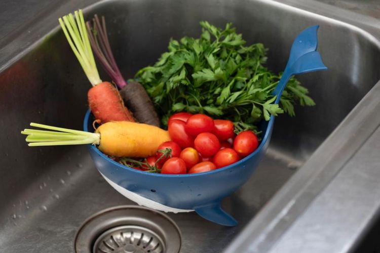 Peleg Design Pastail - Passoire (Blauw) - Panache (Koksijde)