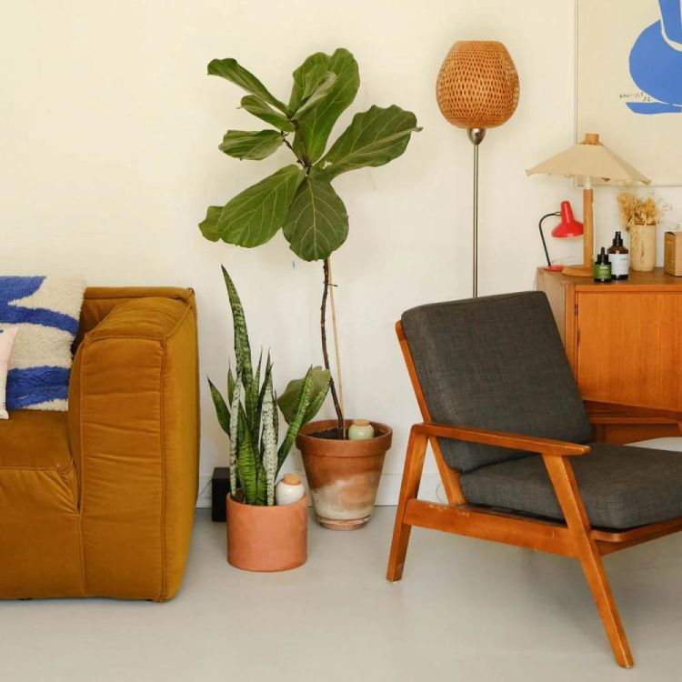 Pepin - Plant Care Olla - Mosterd Geel (Mosterd) - Panache (Koksijde)