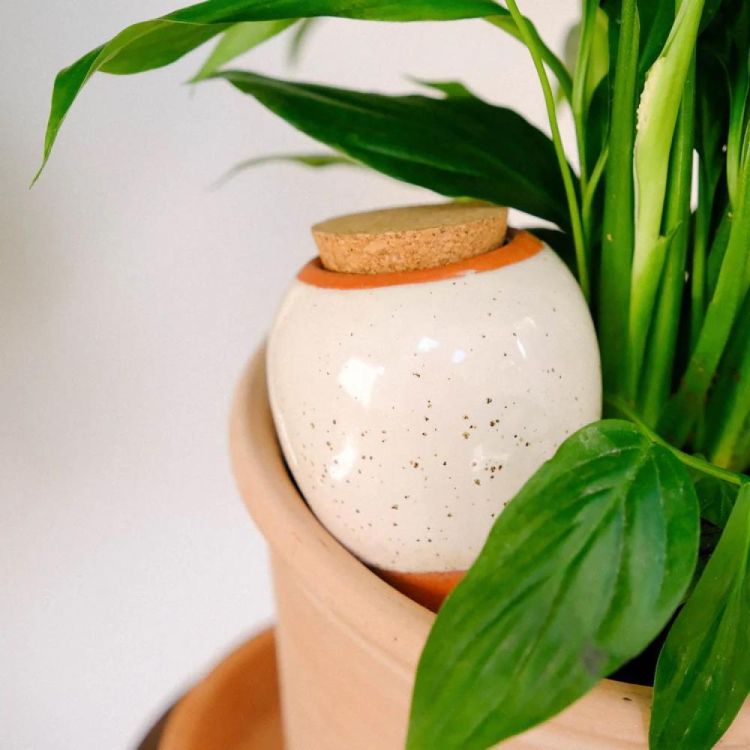 Pepin - Plant Care Olla - Blanc grainé (White) - Panache (Koksijde)