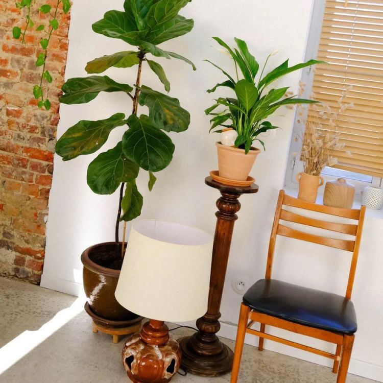 Pepin - Plant Care Olla - Blanc grainé (White) - Panache (Koksijde)