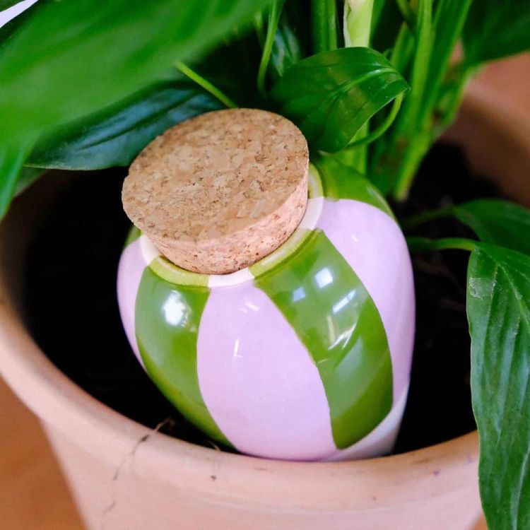 Pepin - Plant Care Olla - Rayé vert et lilas (Stripes) - Panache (Koksijde)