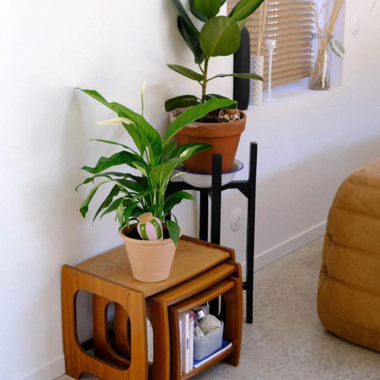 Pepin - Plant Care Olla - Rayé vert et lilas (Stripes) - Panache (Koksijde)