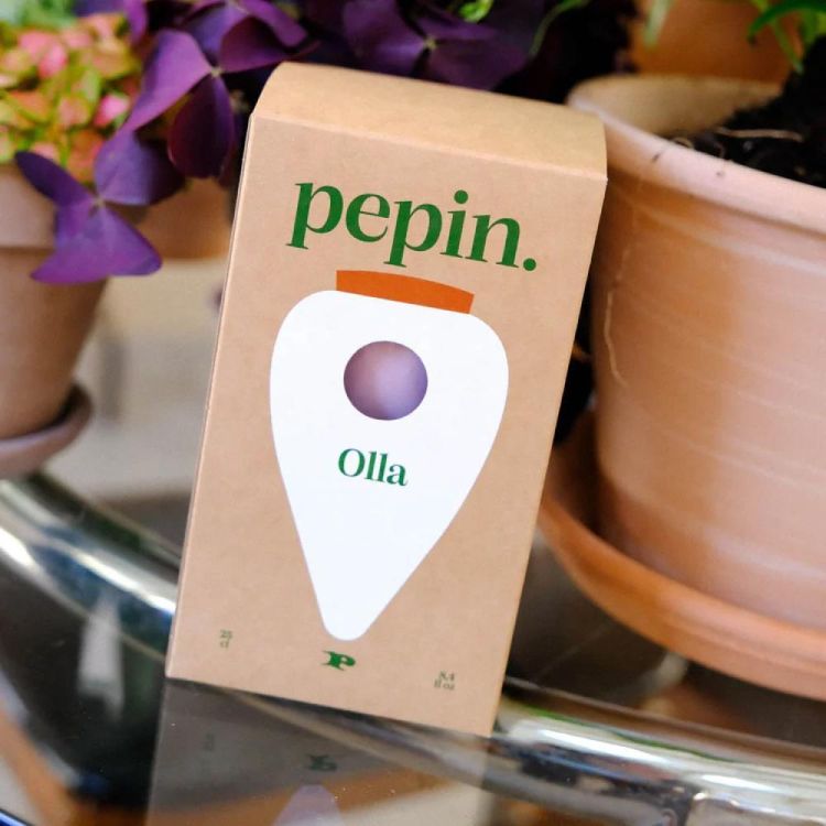 Pepin - Plant Care Olla - Rayé vert et lilas (Stripes) - Panache (Koksijde)