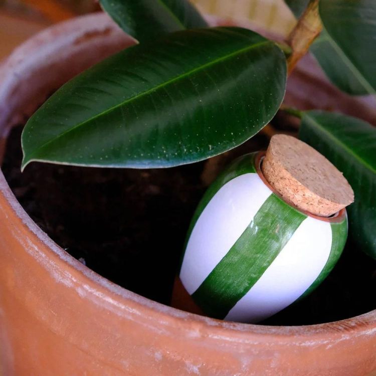 Pepin - Plant Care Olla - Strepen groen en wit (Stripes) - Panache (Koksijde)