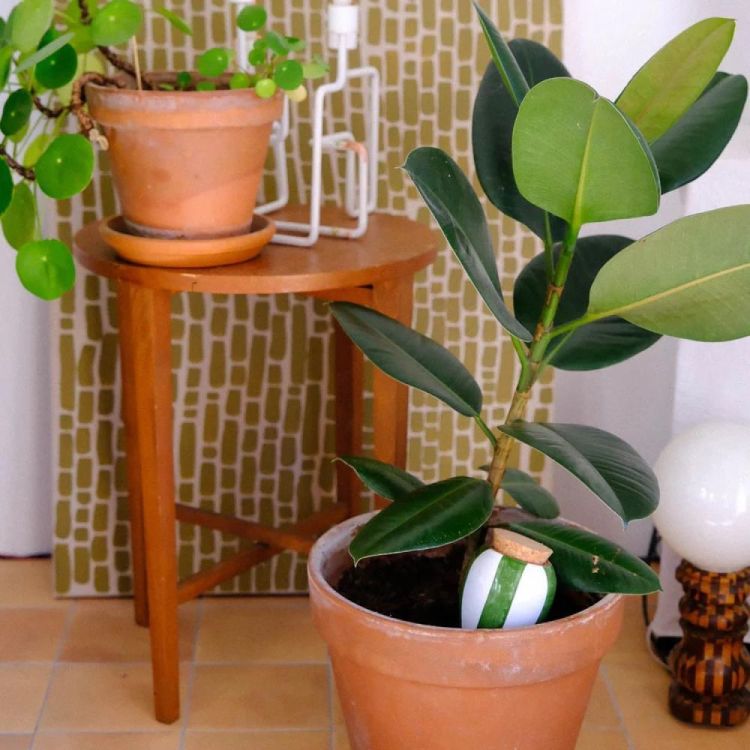 Pepin - Plant Care Olla - Strepen groen en wit (Stripes) - Panache (Koksijde)