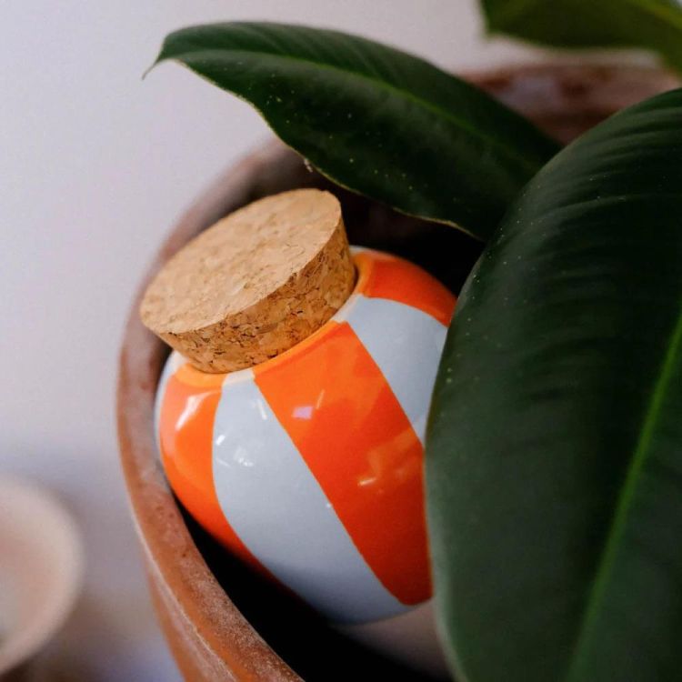 Pepin - Plant Care Olla - Rayé orange et bleu (Stripes) - Panache (Koksijde)