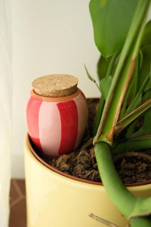 Pepin - Plant Care Olla - Rayé rouge et rose (Stripes) - Panache (Koksijde)