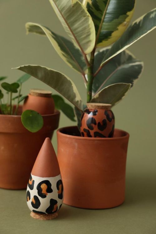 Pepin - Plant Care Trio Mini Olla - Graou (Multi) - Panache (Koksijde)
