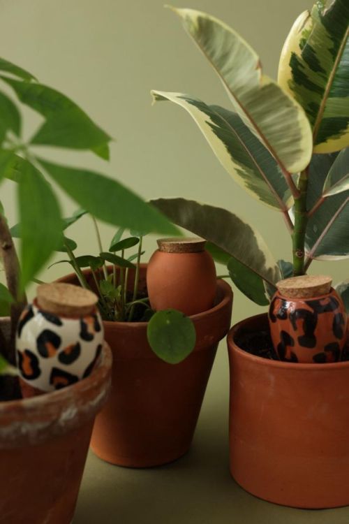 Pepin - Plant Care Trio Mini Olla - Graou (Multi) - Panache (Koksijde)