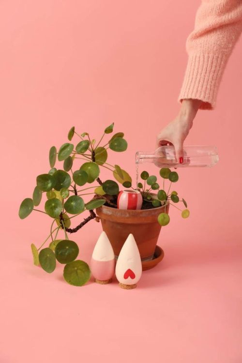 Pepin - Plant Care Trio Mini Olla - Lovers (Multi) - Panache (Koksijde)