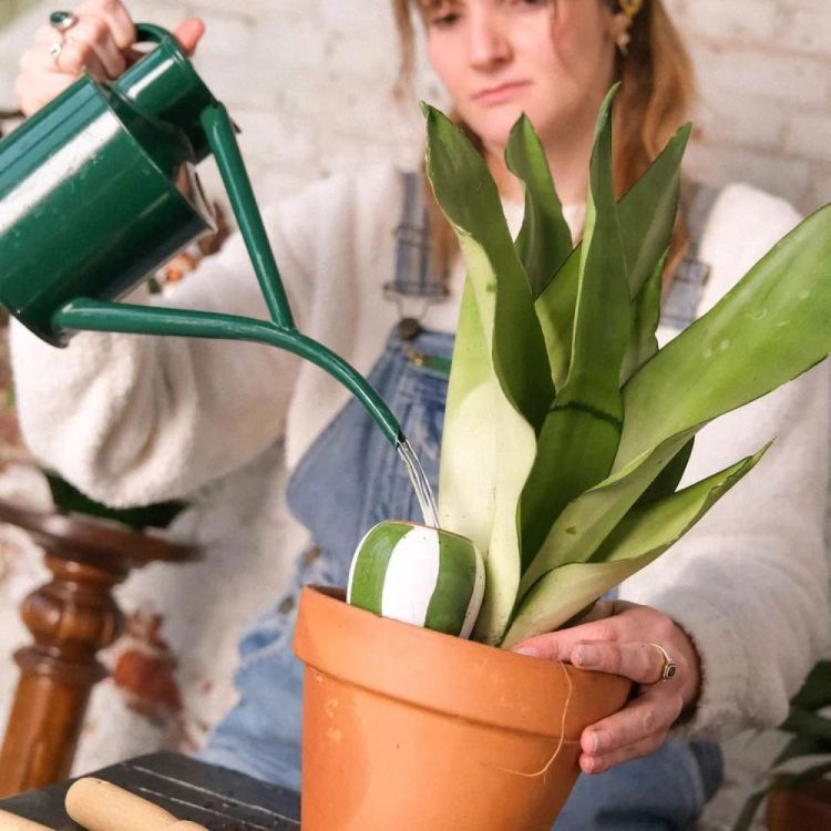 Pepin - Plant Care Set Trio Mini Ollas - Strepen (Stripes) - Panache (Koksijde)