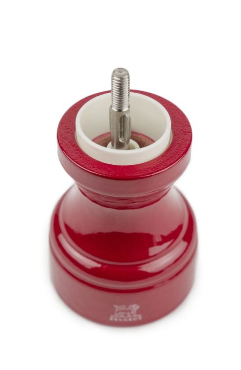 Peugeot Saveurs Moulin à sel Bistro Zirlion 10cm (Passion) - Panache (Koksijde)