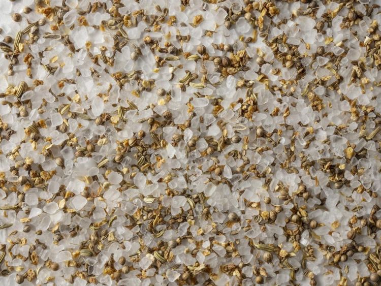 Peugeot Saveurs Frisse zoutmengeling 135g () - Panache (Koksijde)