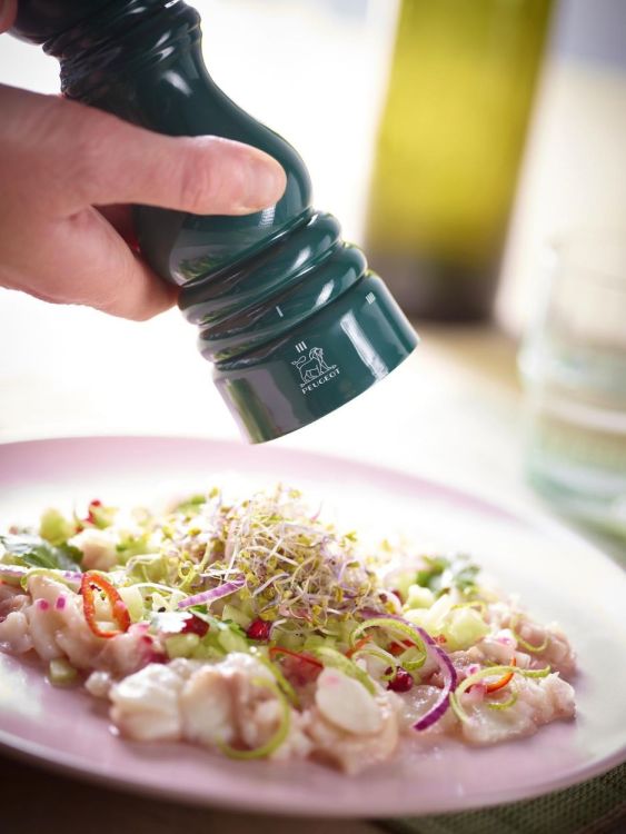 Peugeot Saveurs Zoutmolen Paris u'Select Zirlion 18cm (Bosgroen) - Panache (Koksijde)