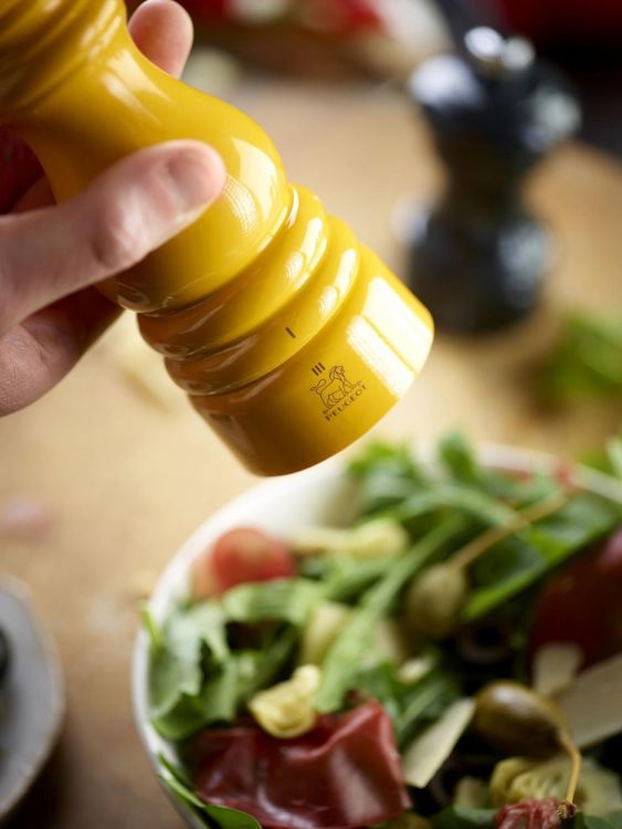 Peugeot Saveurs Zoutmolen Paris u'Select Zirlion 18cm (Saffraangeel) - Panache (Koksijde)