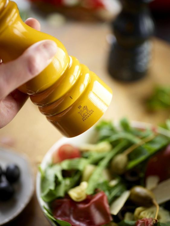 Peugeot Saveurs Zoutmolen Paris u'Select Zirlion 18cm (Saffraangeel) - Panache (Koksijde)