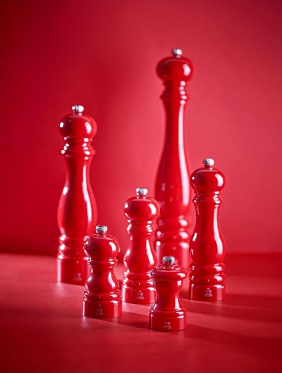 Peugeot Saveurs Zoutmolen Paris u'Select Zirlion 22cm (Passion) - Panache (Koksijde)