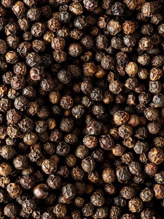 Peugeot Saveurs Zwarte peper - Kampot - uit Cambodia 60g (Zwart) - Panache (Koksijde)