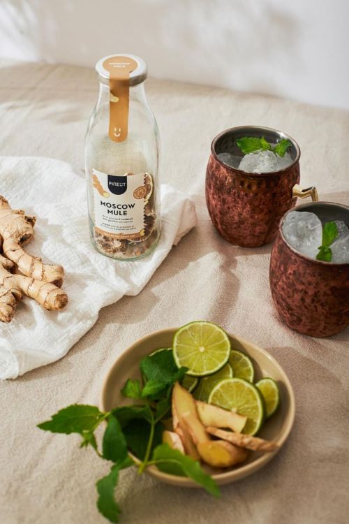 Pineut Giftpack Gin Tonic & Moscow Mule () - Panache (Koksijde)