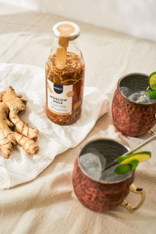 Pineut Giftpack Gin Tonic & Moscow Mule () - Panache (Koksijde)