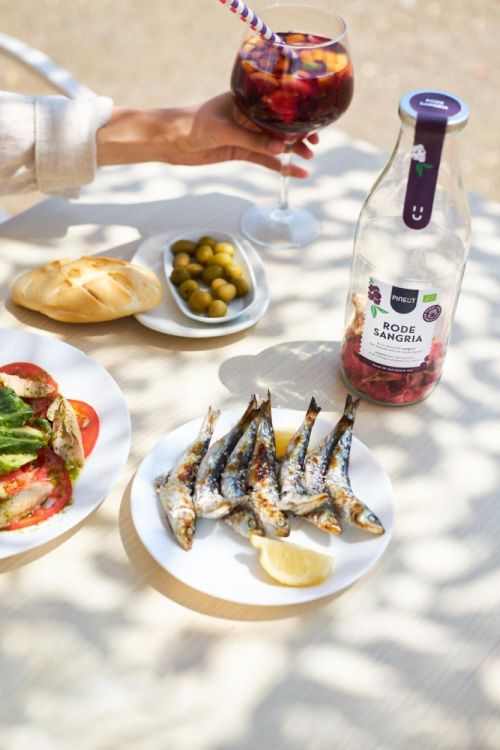 Pineut Sangria red wine BIO starter () - Panache (Koksijde)