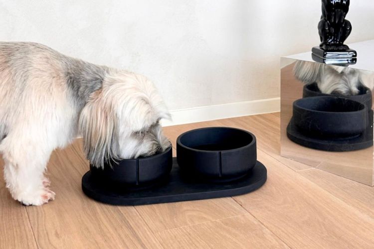 Pino Classic Feeder M (Black Marble) - Panache (Koksijde)