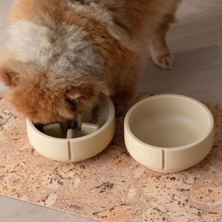 Pino Classic Feeder S (Foxy Terra Marble) - Panache (Koksijde)