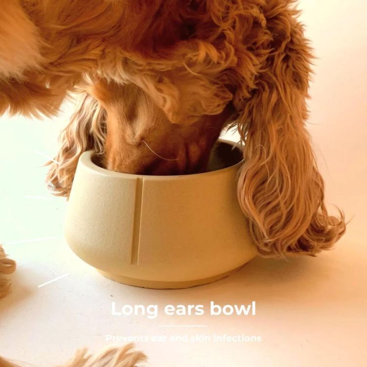 Pino Long Ears Bowl M (Camel Brown Solid) - Panache (Koksijde)