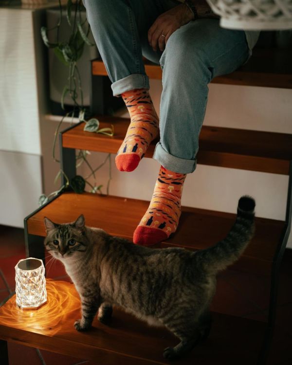 Polar Star Kousen Katten 36-41 (Multi) - Panache (Koksijde)