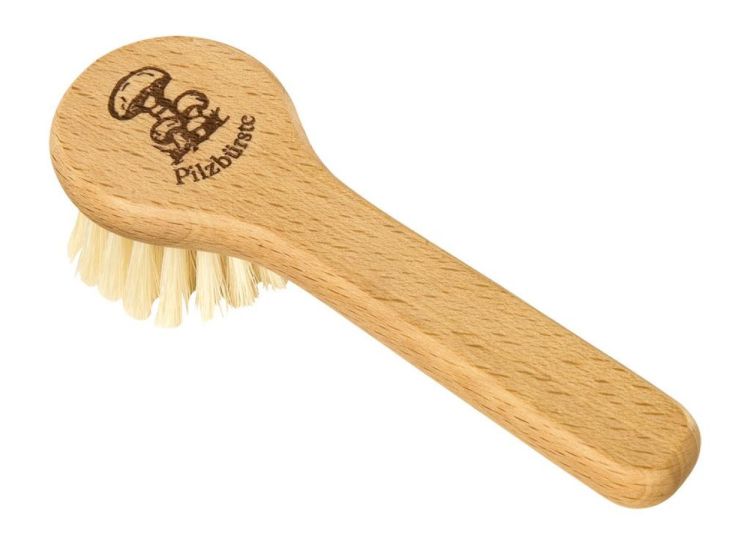 Redecker Brosse à champignons avec manche (Hout) - Panache (Koksijde)