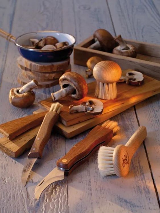 Redecker Champignonborstel met handvat (Hout) - Panache (Koksijde)