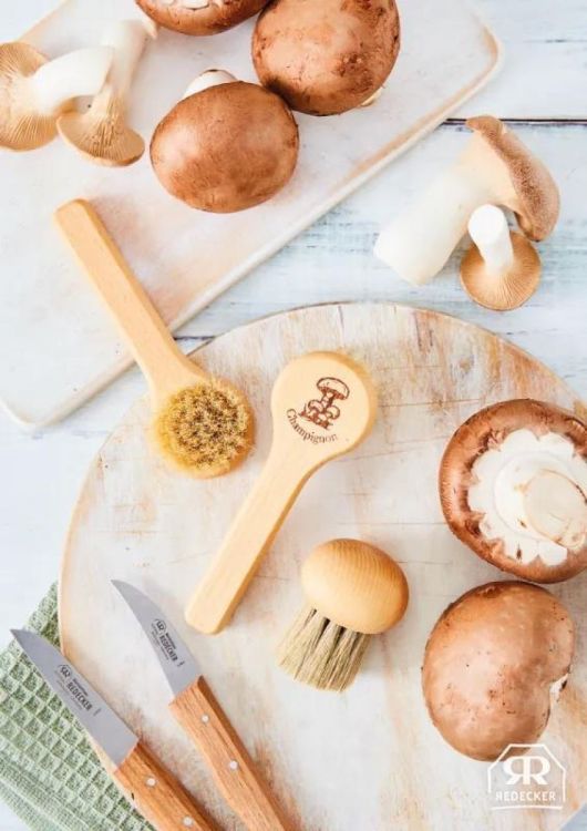 Redecker Champignonborstel rond (Hout) - Panache (Koksijde)