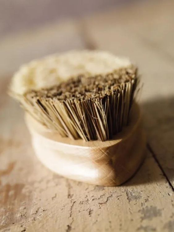 Redecker Groenteborstel Légumes (Hout) - Panache (Koksijde)