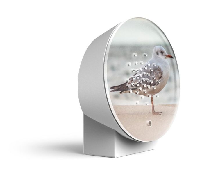 Relaxound - Zwitscherbox Oceanbox Baltic Seagull - Limited Edition (Baltic Seagull) - Panache (Koksijde)