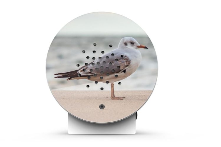 Relaxound - Zwitscherbox Oceanbox Baltic Seagull - Limited Edition (Baltic Seagull) - Panache (Koksijde)