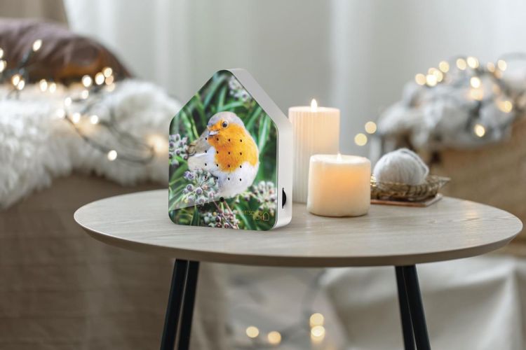 Relaxound - Zwitscherbox Zwitscherbox Robin Redbreast - Limited Edition (Morning Forest) - Panache (Koksijde)