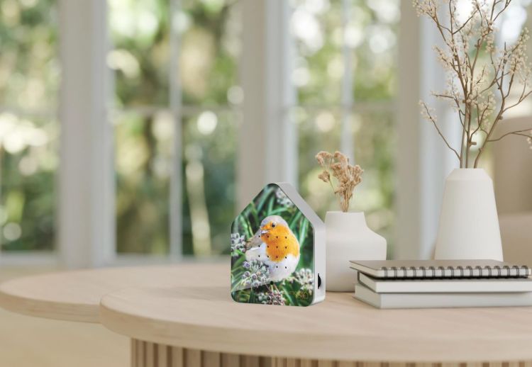 Relaxound - Zwitscherbox Zwitscherbox Robin Redbreast - Limited Edition (Morning Forest) - Panache (Koksijde)