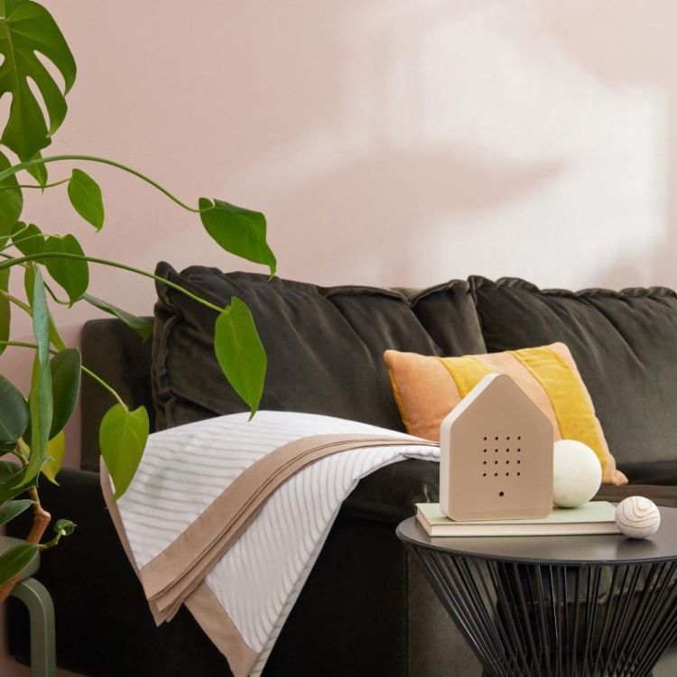 Relaxound - Zwitscherbox Zwitscherbox Taupe (Taupe) - Panache (Koksijde)